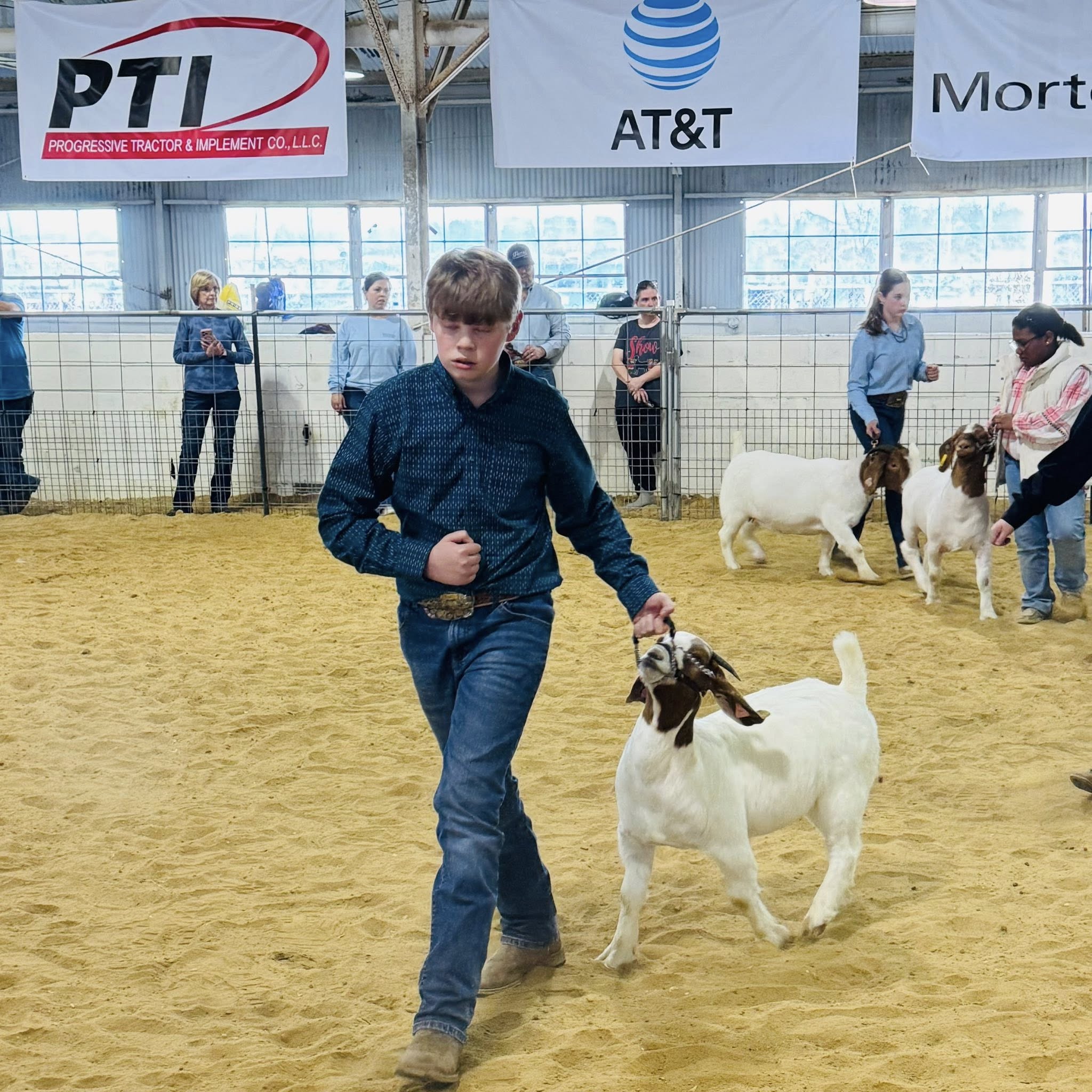 A boy leading a goat in a show ring.